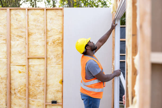 Best Insulation Repair Services  in Tuscola, IL