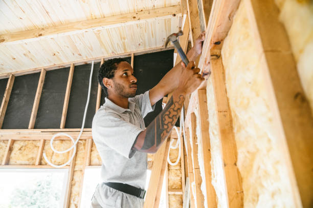 Best Insulation Inspection Services  in Tuscola, IL