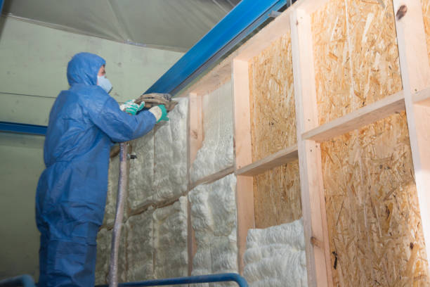 Best Residential Insulation Services  in Tuscola, IL